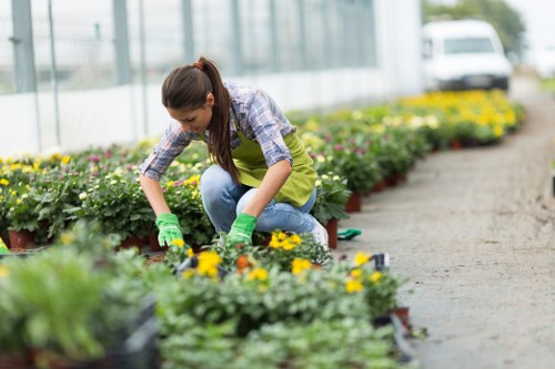 Front garden landscaping in Isleworth with neat planting and paving