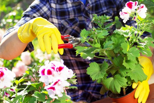 Garden waste recycling and sustainable gardening in Isleworth