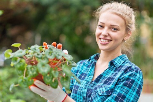 Healthy lawn care as part of garden maintenance in Isleworth