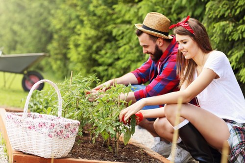 Free quote policy illustration for Gardeners Isleworth service estimates