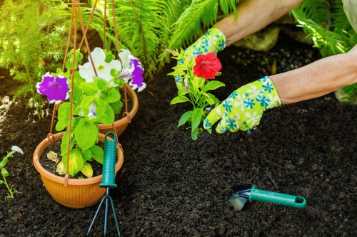 Illustration of a gardener reviewing a complaint form