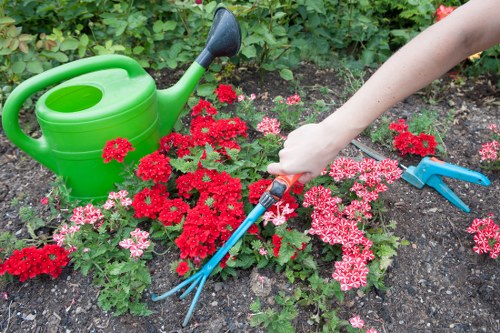 Illustration of a follow-up visit to resolve a gardening complaint