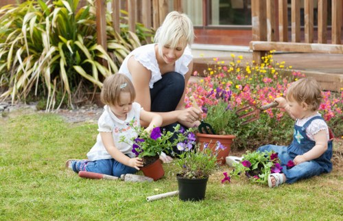 Seasonal hedge maintenance in an Isleworth residential garden