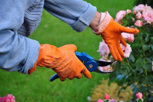Garden clearance team removing green waste from an Isleworth property