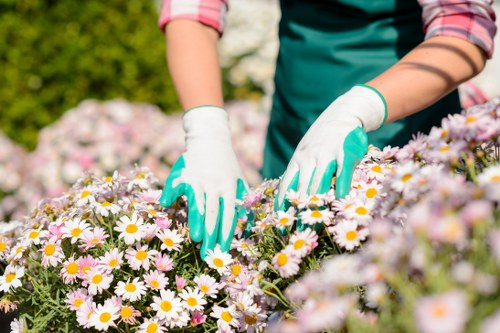 Annual review of Gardeners Isleworth modern slavery controls