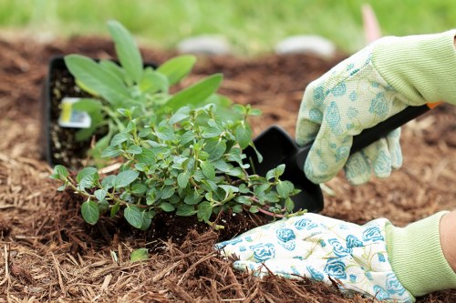 Visual of a professional gardener checking work details