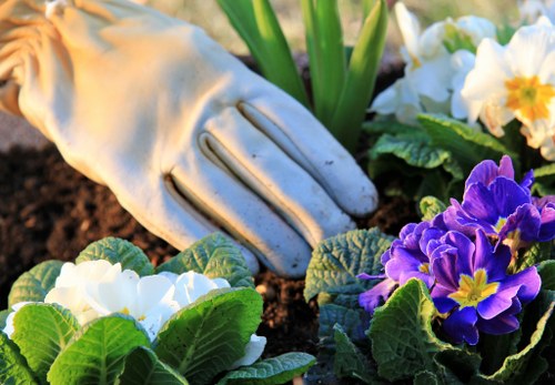 Isleworth garden maintenance with lawn and shrub care