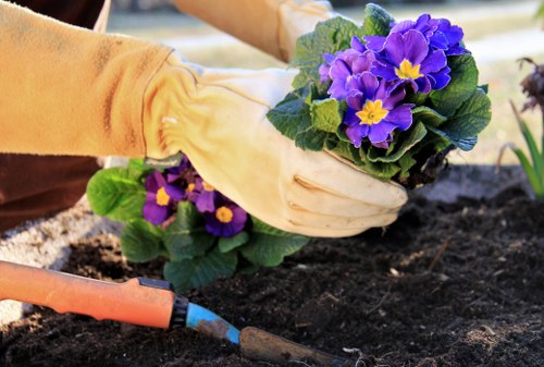 Team member using training and safety procedures during garden maintenance