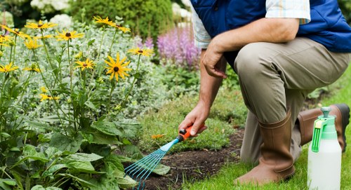 Hedge trimming and plant care for Isleworth gardens