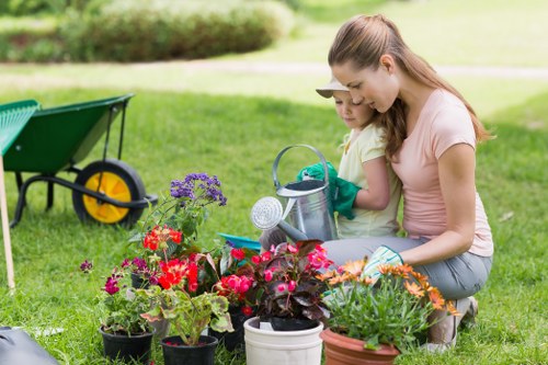 Healthy green lawn care in Isleworth garden