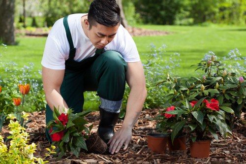 Trusted garden care service for outdoor spaces in Isleworth