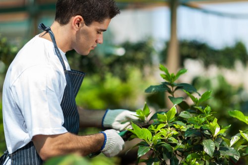 Professional gardeners in Isleworth following safety policy
