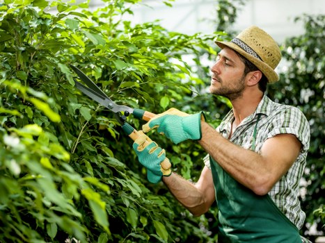 Cubic-yard rate example for communal garden clearance near busy Isleworth properties