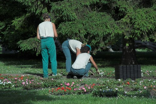 Gardeners Isleworth creating a polished and welcoming garden