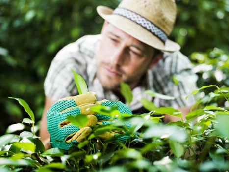 Transparent pricing and quotes for Isleworth garden maintenance and clearance