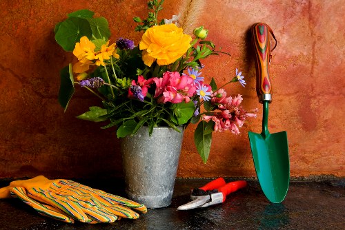 SSL protection for Gardeners Isleworth online payments