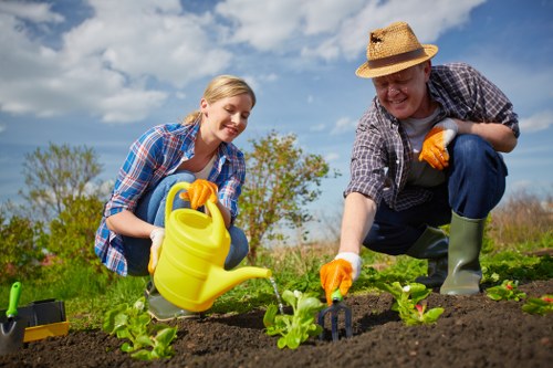 Lawn mowing and hedge trimming service in Isleworth