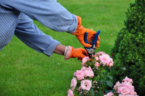 Seasonal planting and border care in an Isleworth garden