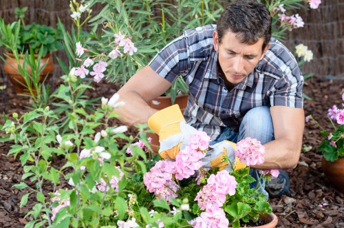 Experienced gardeners shaping hedges and borders in Isleworth