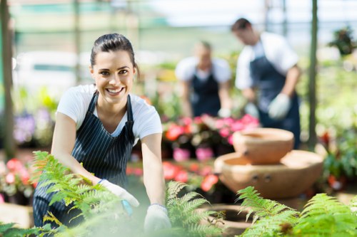 Lawn mowing service in Isleworth trimming a tidy garden edge