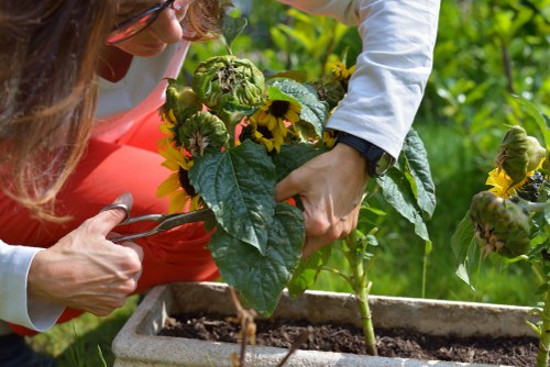 Inclusive access statement for Gardeners Isleworth users