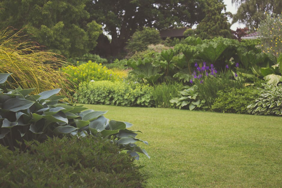 A well-maintained garden scene featuring a neatly trimmed lawn with vivid green grass, bordered by lush garden beds filled with a variety of plants including broad-leaved hostas with glossy, dark gree
