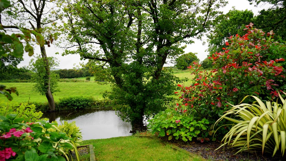 A lush garden scene featuring a variety of plants and trees, with a central large deciduous tree with broad green leaves providing partial shade over the garden. Surrounding the tree are vibrant flowe